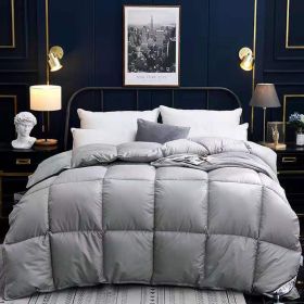 Down Duvet, Winter Duvet, Goose Down Duvet Core, Air Conditioner (Option: Grey-200x230cm-6)